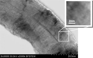 SU9000 CNT lattice fringes