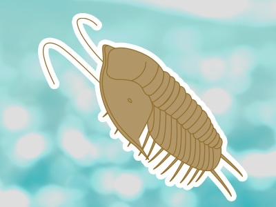 Trilobite