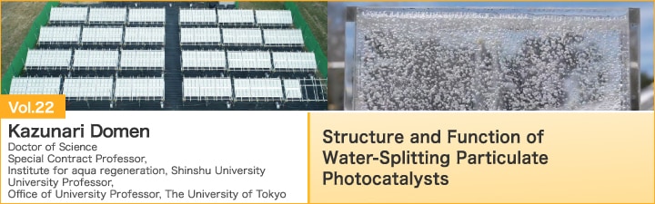 Structure and Function of Water-Splitting Particulate Photocatalysts