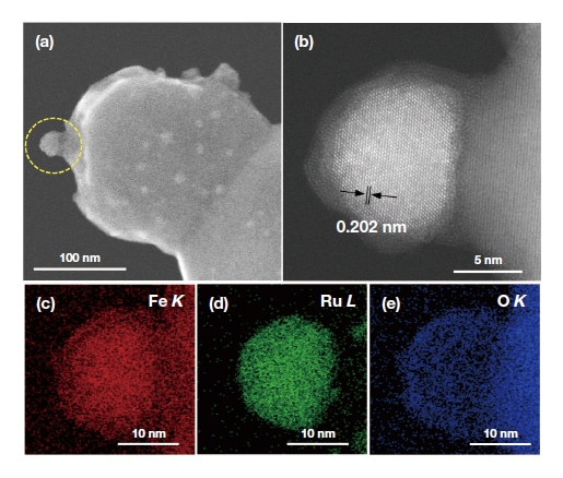 Fig. 7　In-situ observations of RuFe alloy nanoparticle under oxygen gas atmosphere (200°C, after 70 s). (a) SEM image. (b) ADF-STEM image. (c,d,e) STEM-EDX maps. [From Lv, H. et al ., Nature Communications, 12, 5665 (2021) with modifications.]