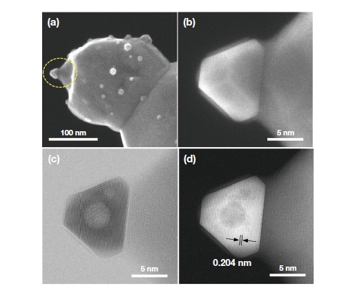 Fig. 8 In-situ observations of Ru nanoparticle under oxygen gas atmosphere (800°C, after 30 min). (a,b) SEM images. (c) BF-STEM image. (d) ADF-STEM image. [From Lv, H. et al., Nature Communications, 12, 5665 (2021) with modifications.]