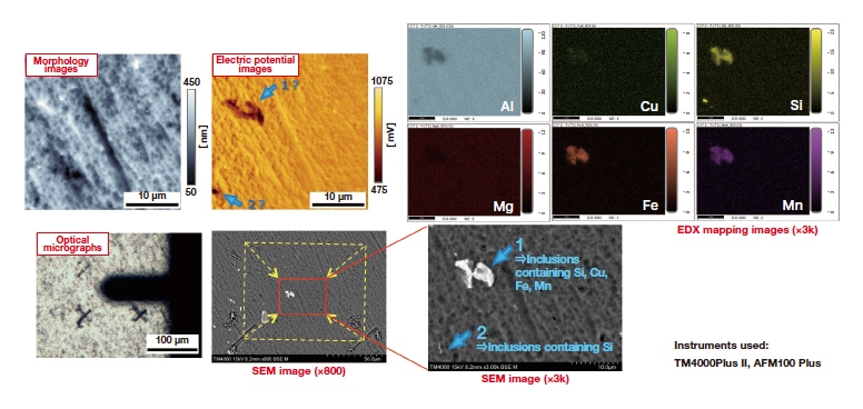 Fig. 6 Images of single region of aluminum alloy observed by AFM100 Plus and by TM4000 Plus II.