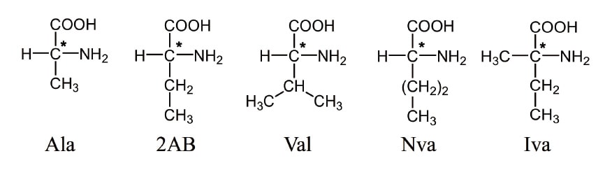 Fig. 1 Structures of target amino acids.