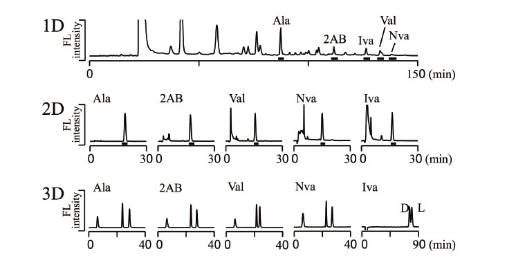 Fig. 3 Three-dimensional HPLC determination of amino acids in the Yamato 002540 meteorite.