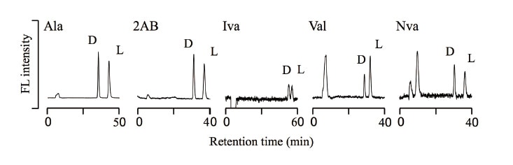 Fig. 4 Determination of amino acid enantiomers in the asteroid Ryugu.