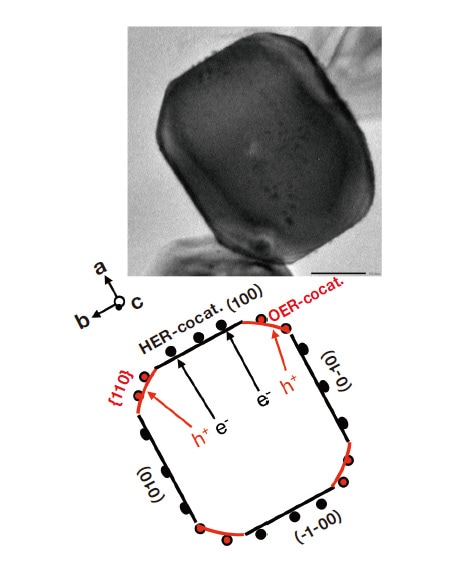 Fig. 1 Above: STEM image of photocatalyst particle.