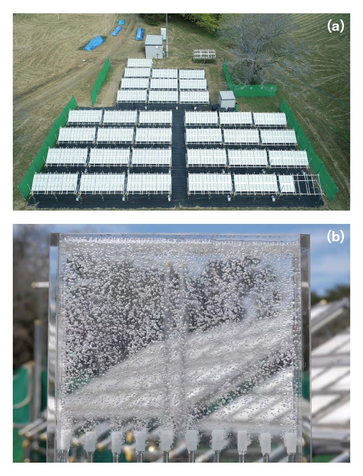 Fig. 2 (a) 100 m2 water-splitting panel. (b) Gaseous hydrogen-oxygen mixture produced by water-splitting panel.