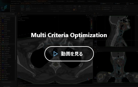 Multi Criteria Optimization