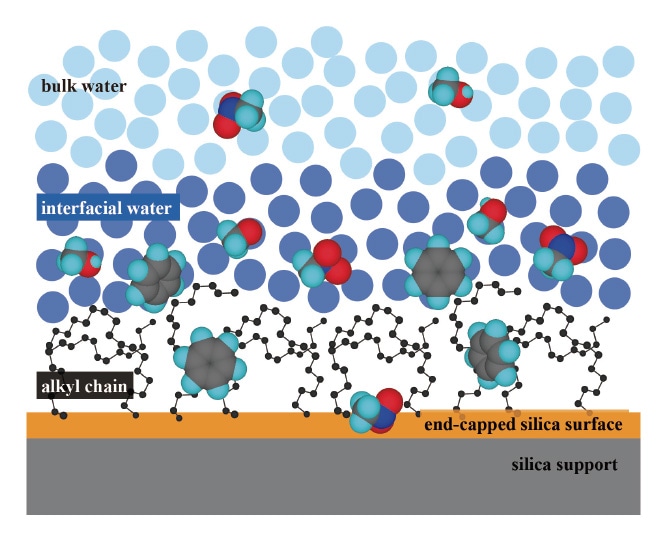 図1 水／C18結合シリカ界面における界面水と溶質の分配挙動