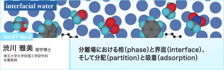 分離場における相（phase）と界面（interface）、そして分配（partition）と吸着（adsorption）