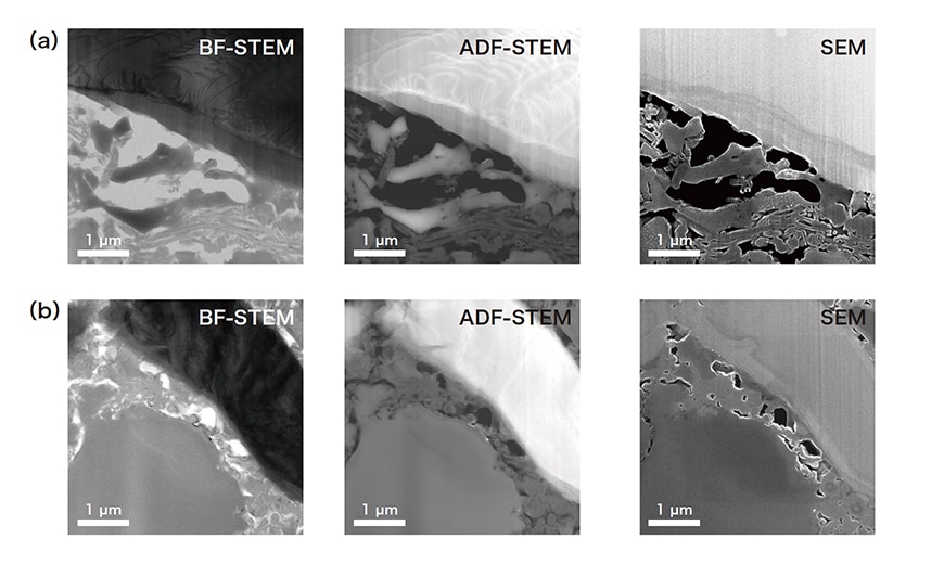 図3 正極-固体電解質界面の充放電サイクル試験前後でのSTEM/SEM像
