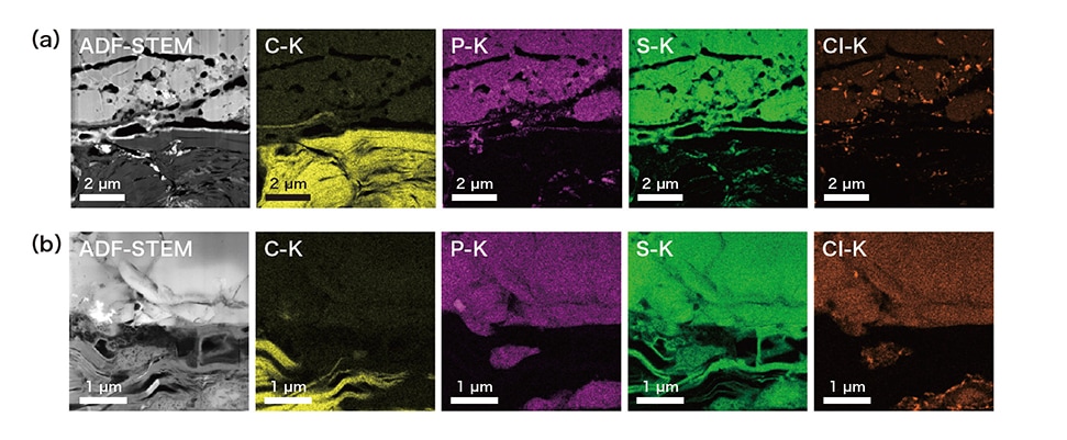 図4 充放電サイクル試験前後でのSTEM-EDX元素マップ像