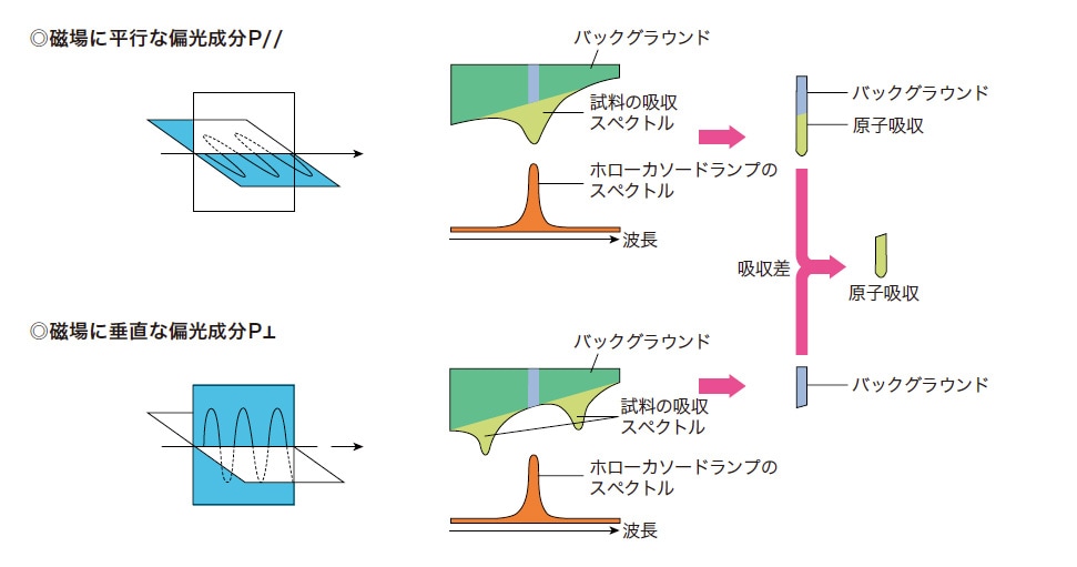 図2 偏光ゼーマン補正法の原理