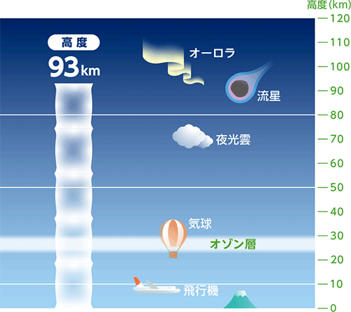 削減したプラスチック緩衝材の長さ